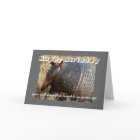 carte d'anniversaire humour armadillo photo art