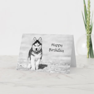 Carte d'anniversaire Husky Joyeux