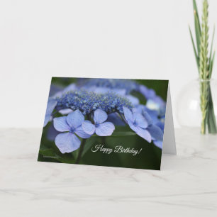 Carte d'anniversaire Hydrangea