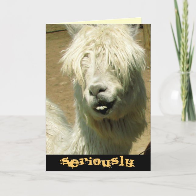 Carte d'anniversaire idiote de lama (Devant)