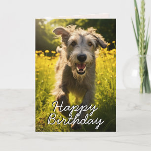 Carte d'anniversaire irlandaise Wolfhound personna