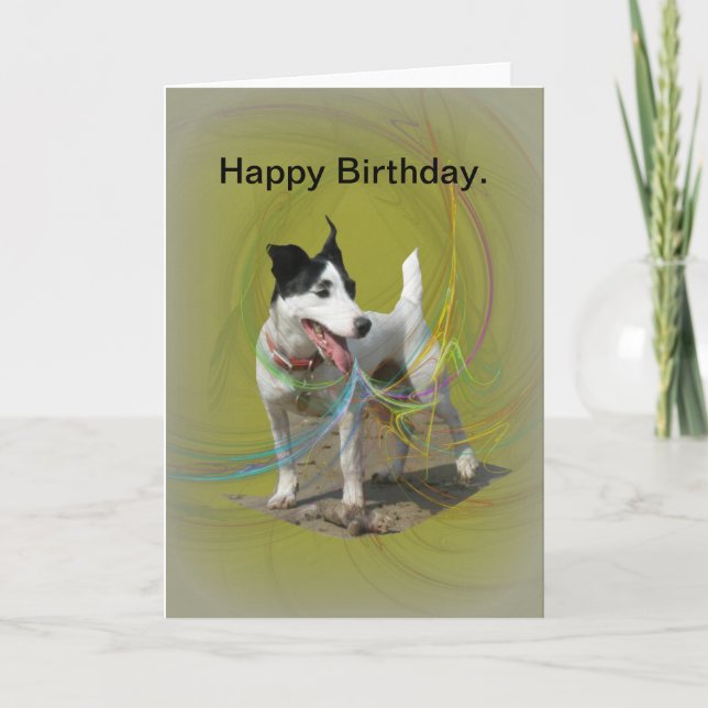 Carte d'anniversaire Jack Russell. (Devant)