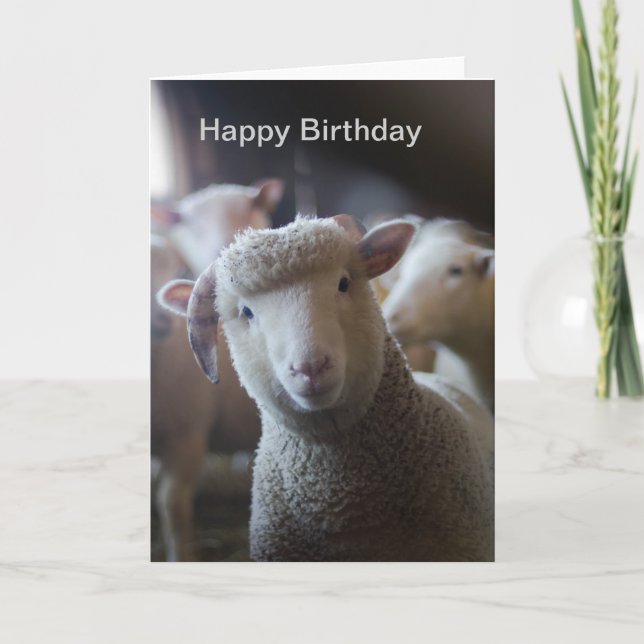Carte d'anniversaire joyeuse de l'agneau (Devant)