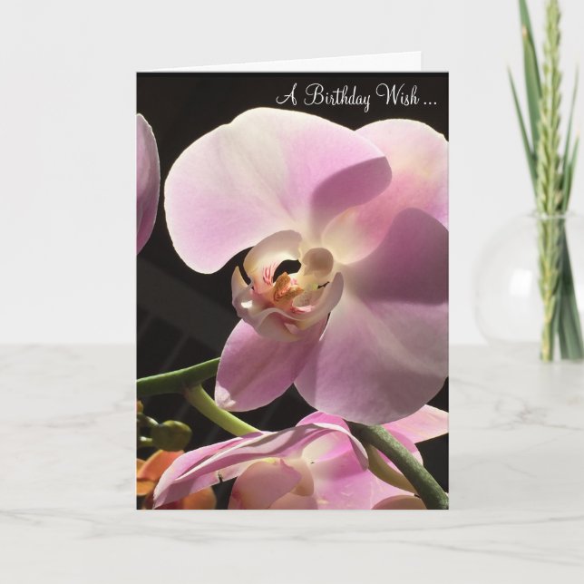 Carte d'anniversaire joyeuse de l'orchidée rose (Devant)
