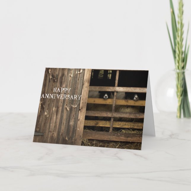 Carte d'anniversaire joyeuse du mouton (Devant)