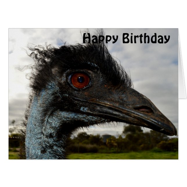 Carte d'anniversaire Jumbo Emu Australienne (Devant horizontal)
