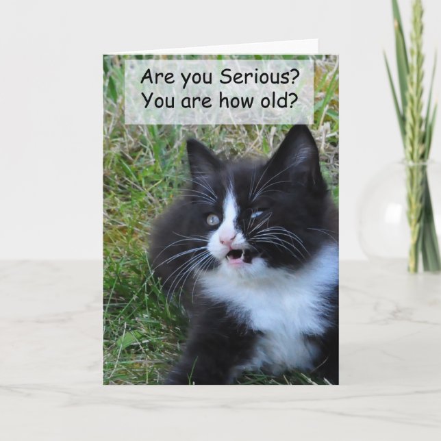 Carte d'anniversaire Kitty - Drôle ! ! ! (Devant)