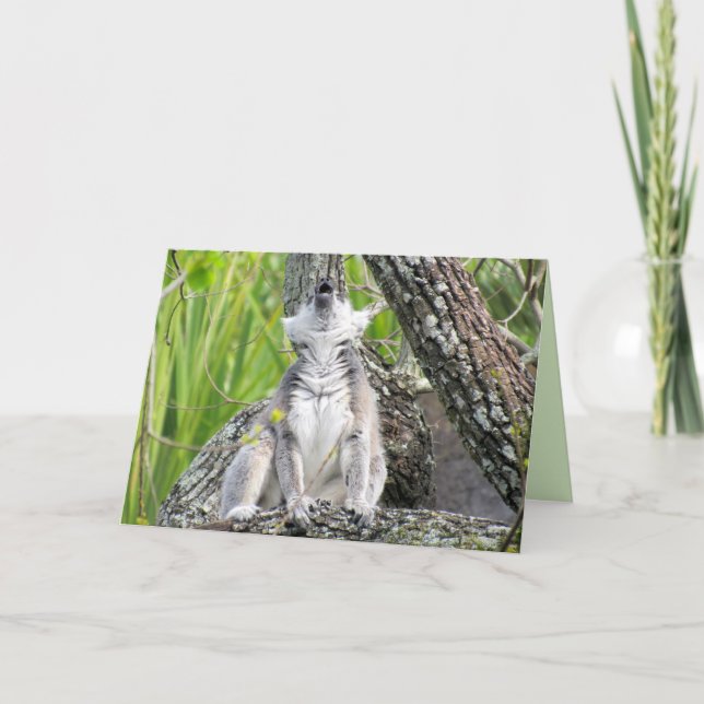Carte d'anniversaire "Lemur-Gram" (Devant)