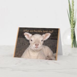 Carte d'anniversaire Little Lamb