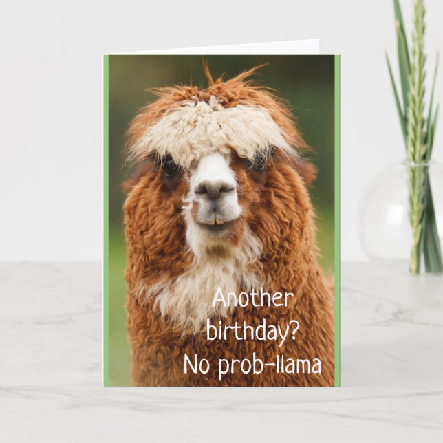 Carte d'anniversaire Llama Alpaca No Prob-llama (Devant)