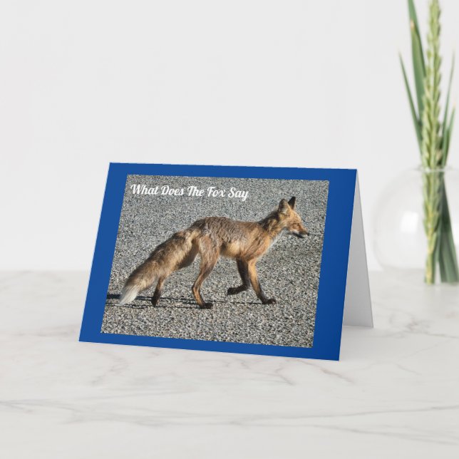 Carte d'anniversaire M. Wild Fox (Devant)