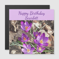 Carte d'anniversaire magnétique de Crocus pourpre