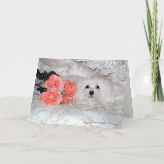 Carte d'anniversaire maltaise (Devant)