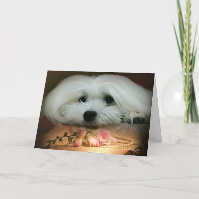 Carte d'anniversaire maltaise (Devant)