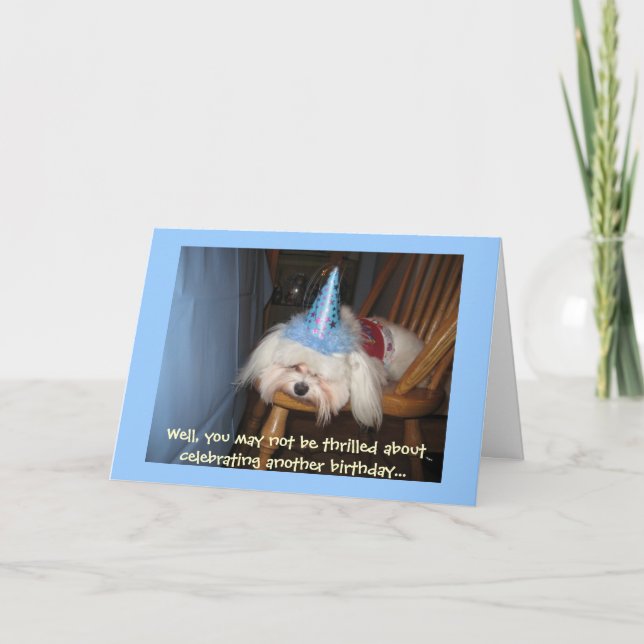 Carte d'anniversaire maltaise amusante (Devant)