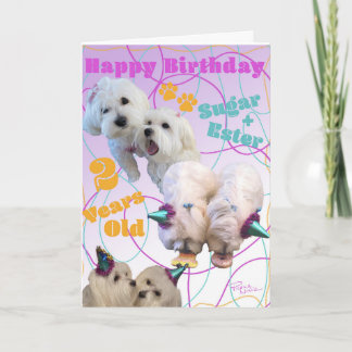 Carte d'anniversaire Maltese Twins