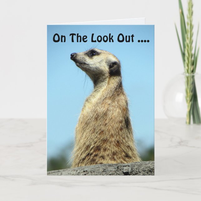 Carte d'anniversaire Meerkat (Devant)