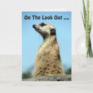 Carte d'anniversaire Meerkat