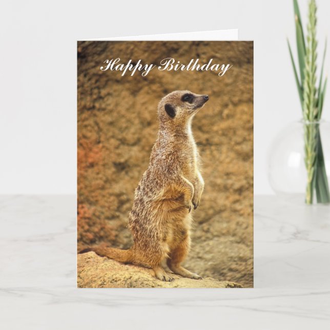 Carte d'anniversaire Meerkat (Devant)