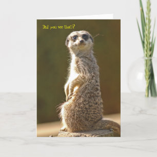 Carte d'anniversaire Meerkat