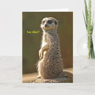 Carte d'anniversaire Meerkat Vous voyez ça ? c