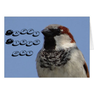 Carte d'anniversaire mignon petit oiseau