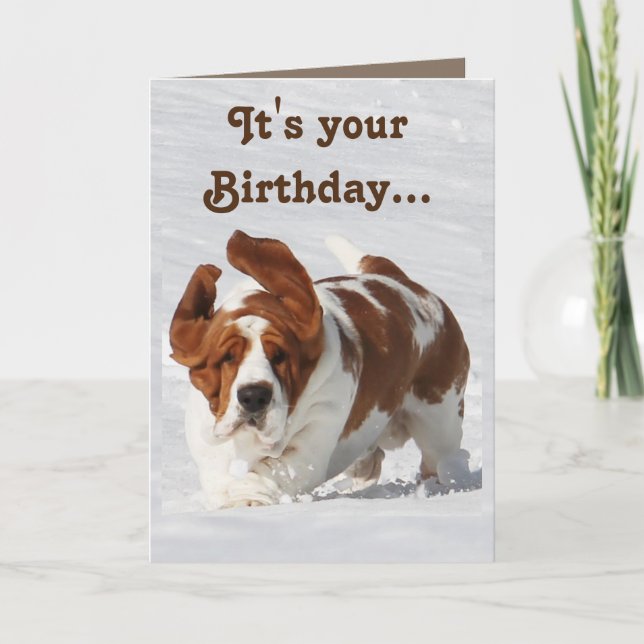 Carte d'anniversaire mignonne avec Basset Hound &  (Devant)