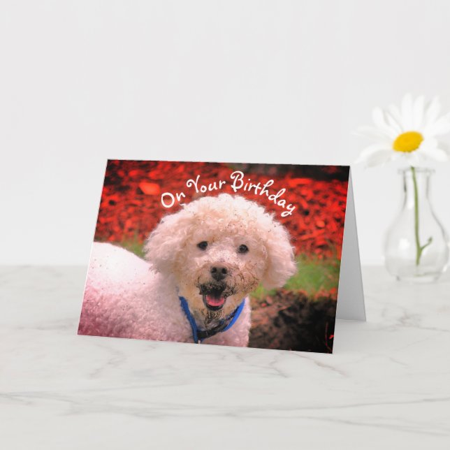 Carte d'anniversaire mignonne de caniche face à la (Petite plante)