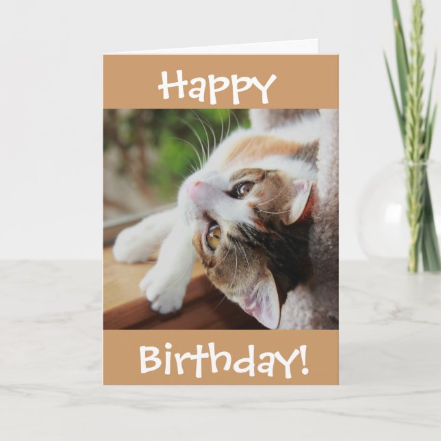 Carte d'anniversaire mignonne de chat de calicot, (Devant)
