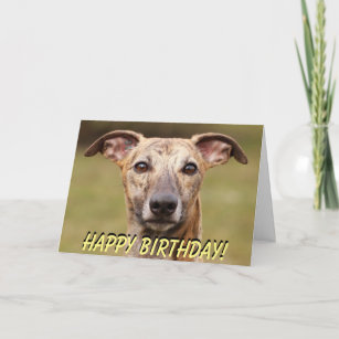 Personnalisé Greyhound Whippet Lurcher Chien Rose Valentine Carte toute occasion