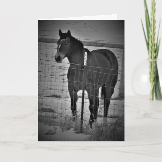 Carte d'anniversaire "Monte sur tes grands chevaux (Devant)