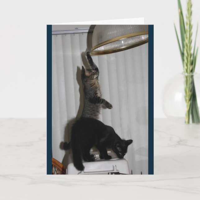 Carte d'anniversaire Naughty Kitty (Devant)