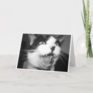 Carte d'anniversaire Opera Kitty