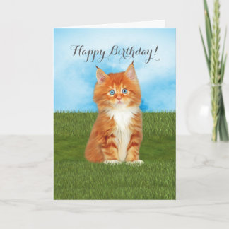 Carte d'anniversaire orange d'yeux bleus de chaton