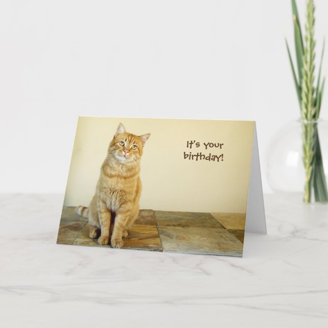 Carte d'anniversaire Orange Tabby (Devant)