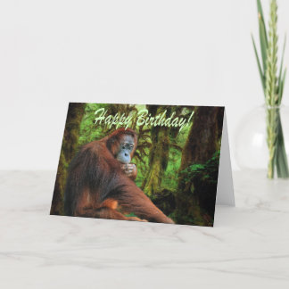 Carte d'anniversaire Orangutan & Rainforest