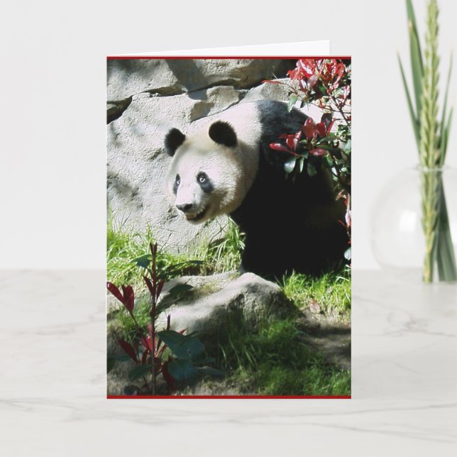Carte d'anniversaire Panda Smile (Devant)