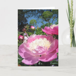 Carte d'anniversaire Peony