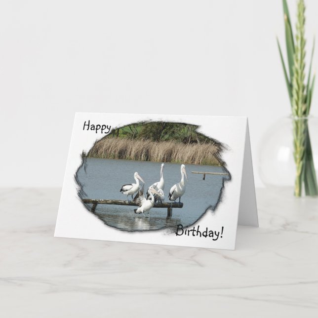 Carte d'anniversaire Perez Pélicans (Devant)