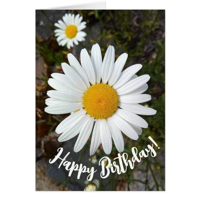 Carte d'anniversaire Perky White Daisy Flower (Devant)