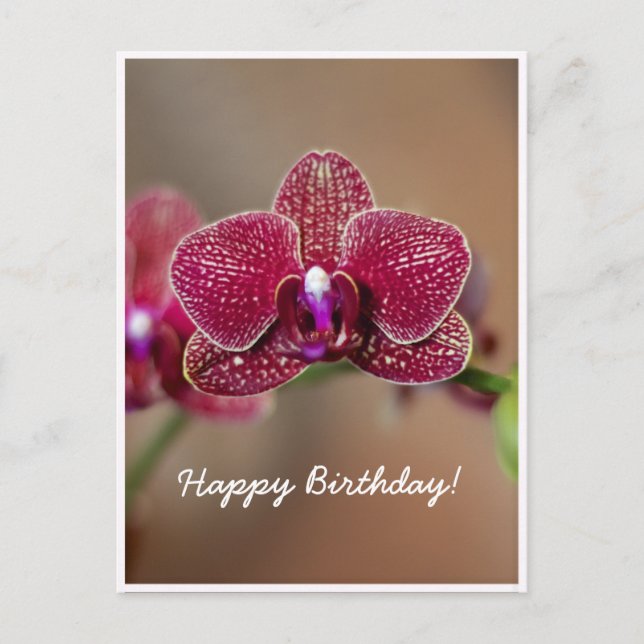 Carte d'anniversaire personnalisable à l'orchidée  (Devant)