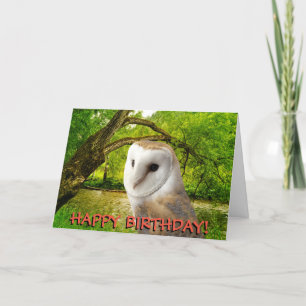 Carte d'anniversaire personnalisable de hibou de