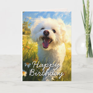 Carte d'anniversaire personnalisée Bichon Frise