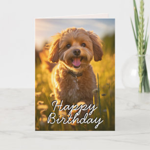 Carte d'Anniversaire Personnalisée Cavoodle/Cavapo