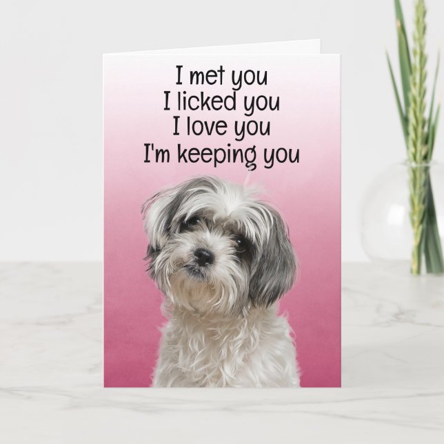 Carte d'anniversaire personnalisée drôle Shih Tzu (Devant)