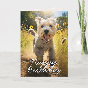 Carte d'anniversaire personnalisée Wheaten Terrier