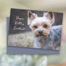 Carte d'anniversaire personnalisée Yorkshire Terri