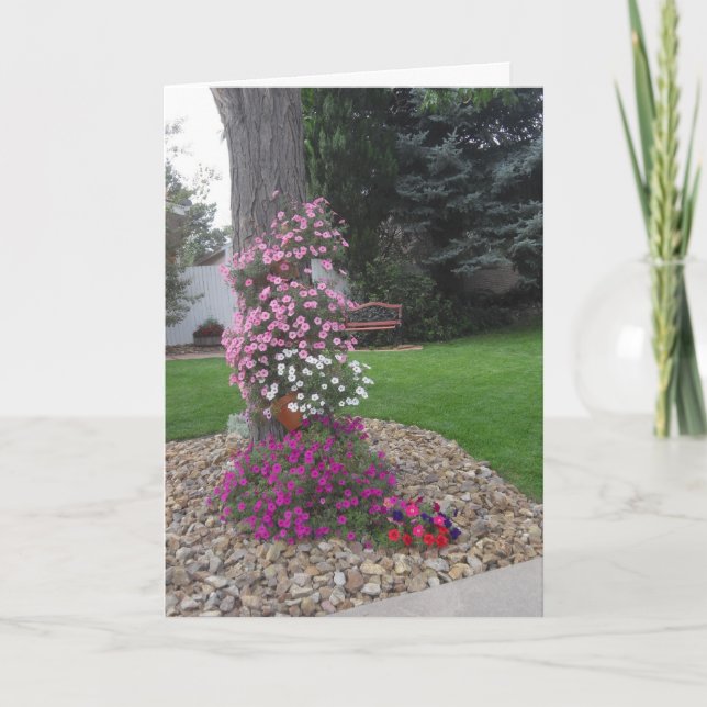 Carte d'anniversaire Petunias (Devant)