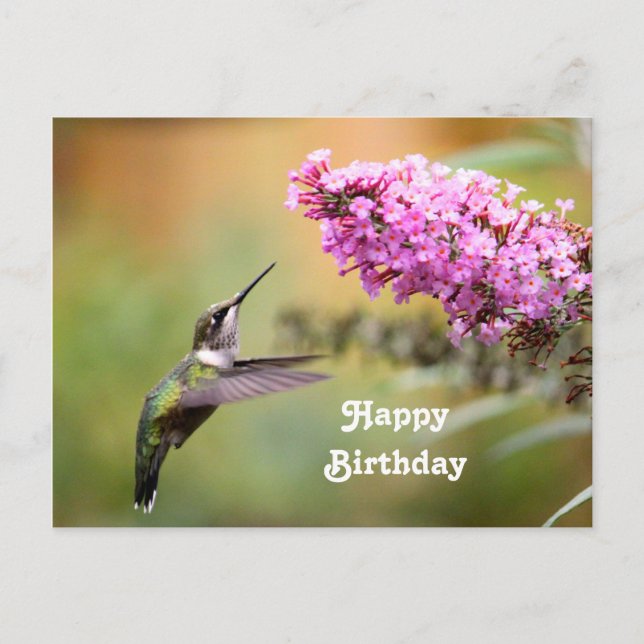 Carte d'anniversaire photo florale de colibri faun (Devant)
