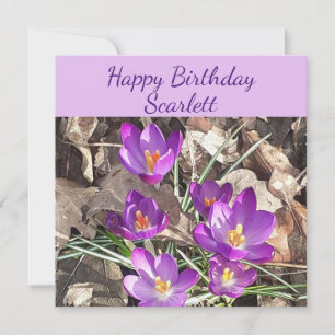 Carte d'anniversaire Plat de Crocus pourpre